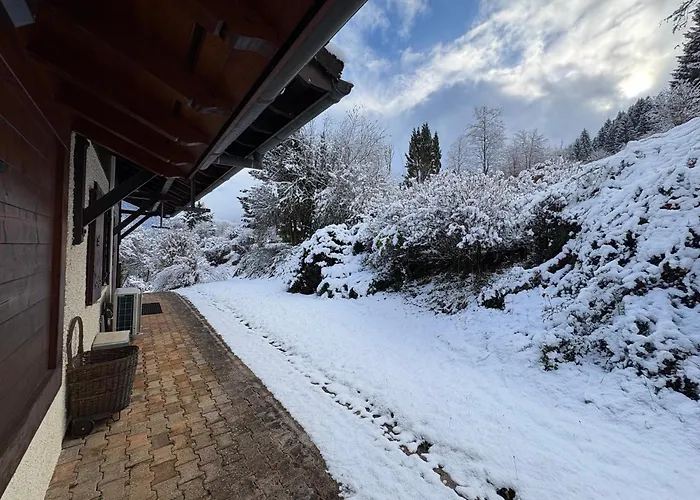 Chalet Des Sources La Riviere-Enverse